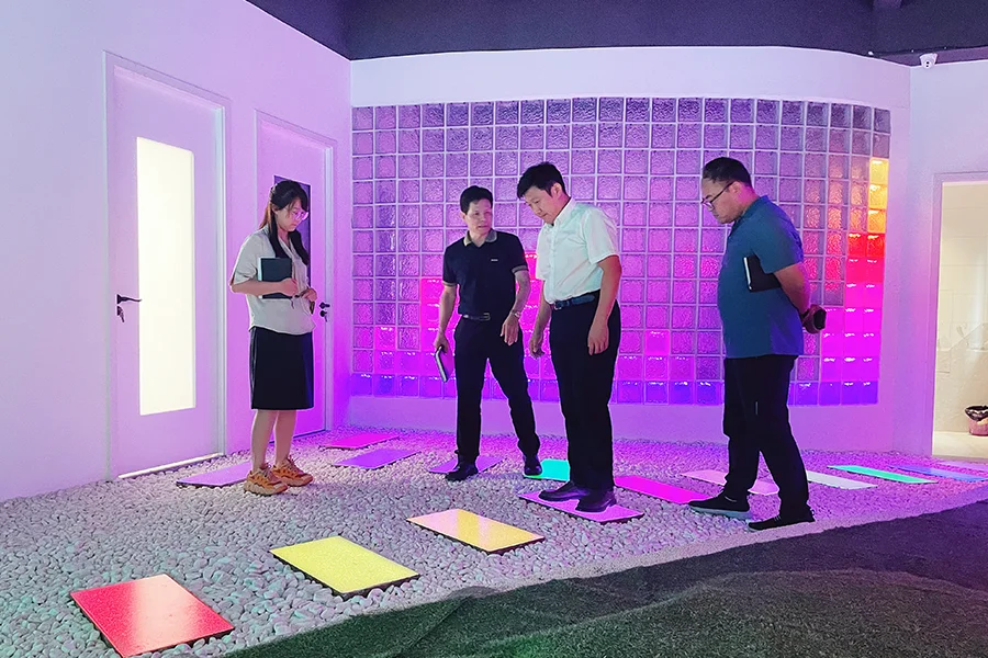 Universal inquiry form for SHONE lighting design support DIALux simulation and project deepening