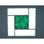 300×900×60mm Tunable White LED Circadian Light-Application-1