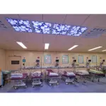 600×600×120mm Color-Tunable LED Healthcare Ambient Light-Application